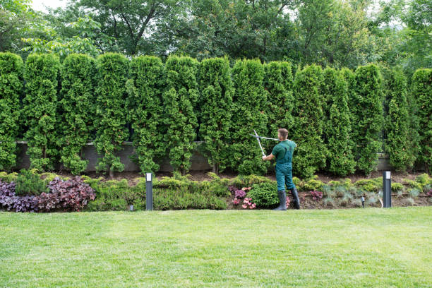 Lawn Irrigation Installation and Maintenance in Estell Manor, NJ